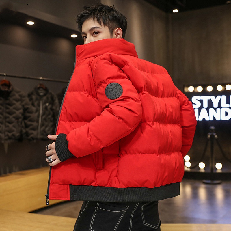 Cotton Jacket Image 3