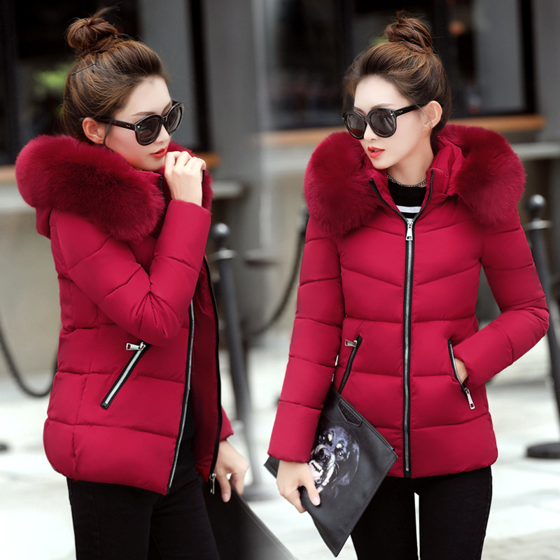 Jacket in Wine Red
