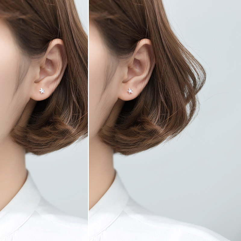 Star Earrings - Image 1