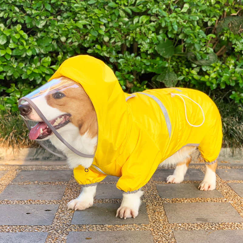 Happy Pet in Raincoat