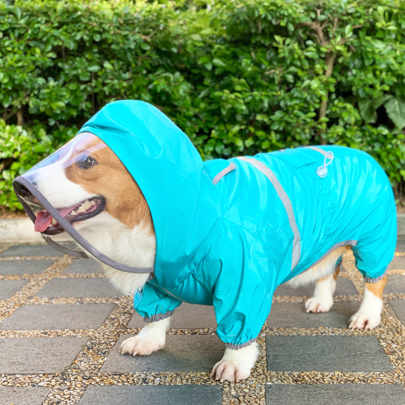 Blue Corgi Raincoat