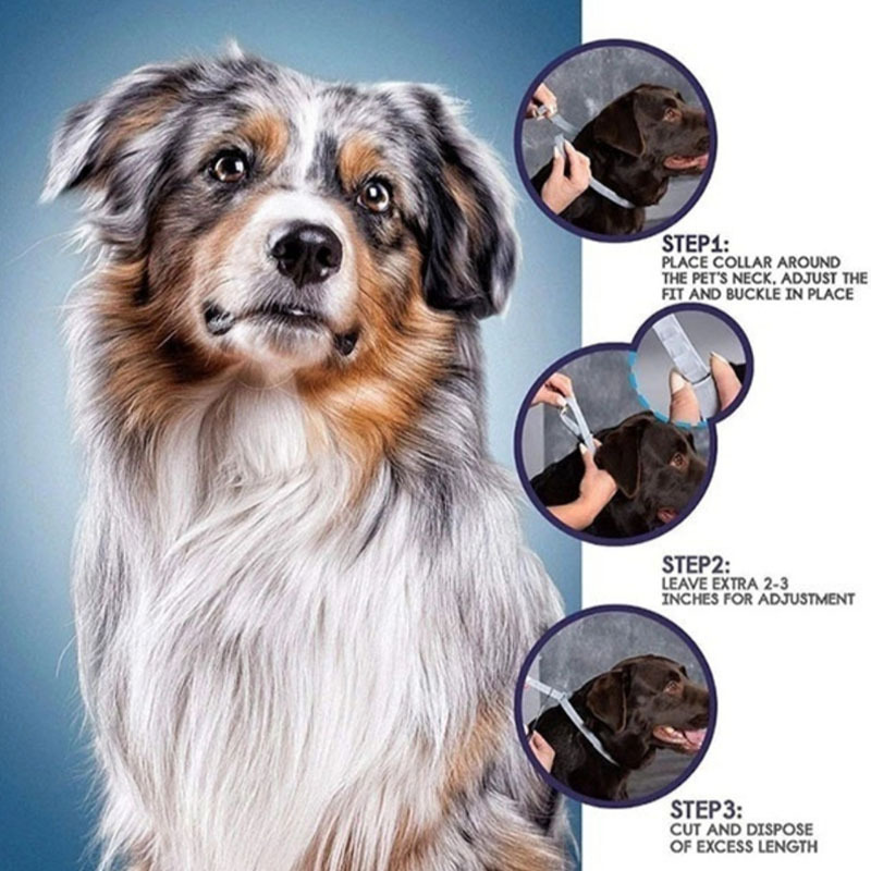 Bayer Seresto Collar Image 5