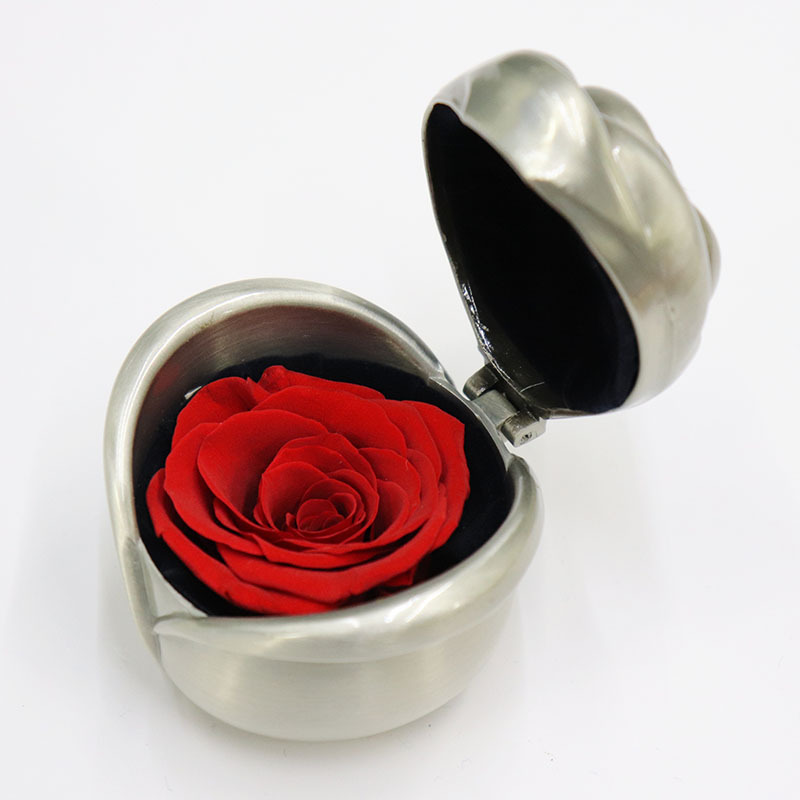 Eternal Flower Rose Jewelry Box - Gold Red