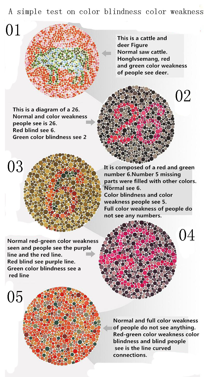 Colorblind Glasses 2