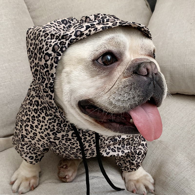 Leopard Print Pet Outfit