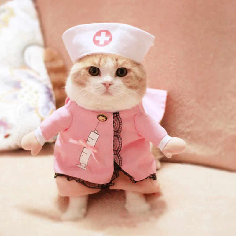 Pet Costume