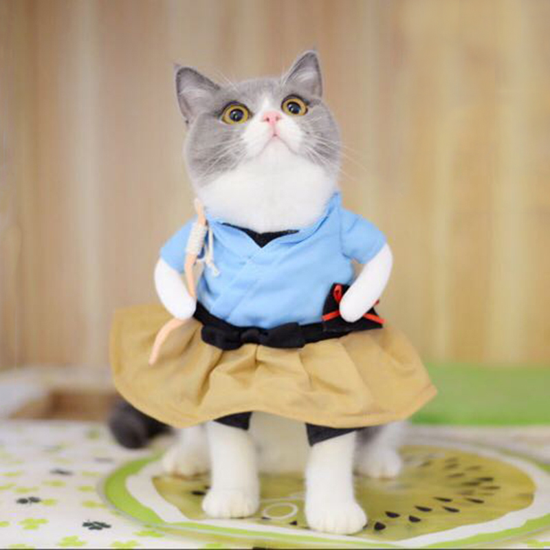 Pet Costume