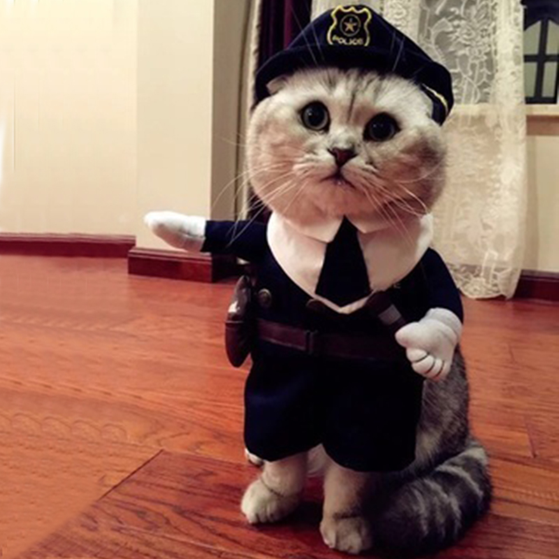 Pet Costume