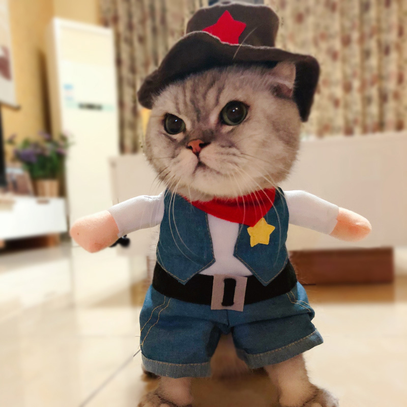 Pet Costume