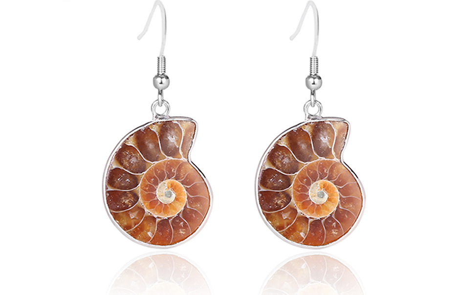 Conch Shell Earrings