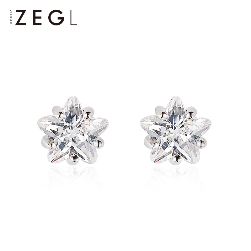 Elegant Silver Earrings