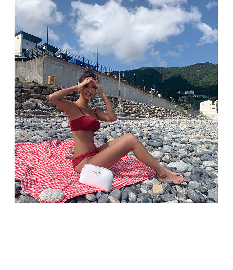 Bikini Image 2