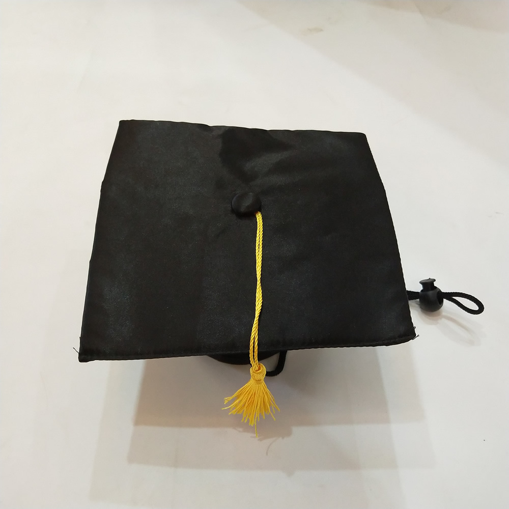 Pet graduation celebration