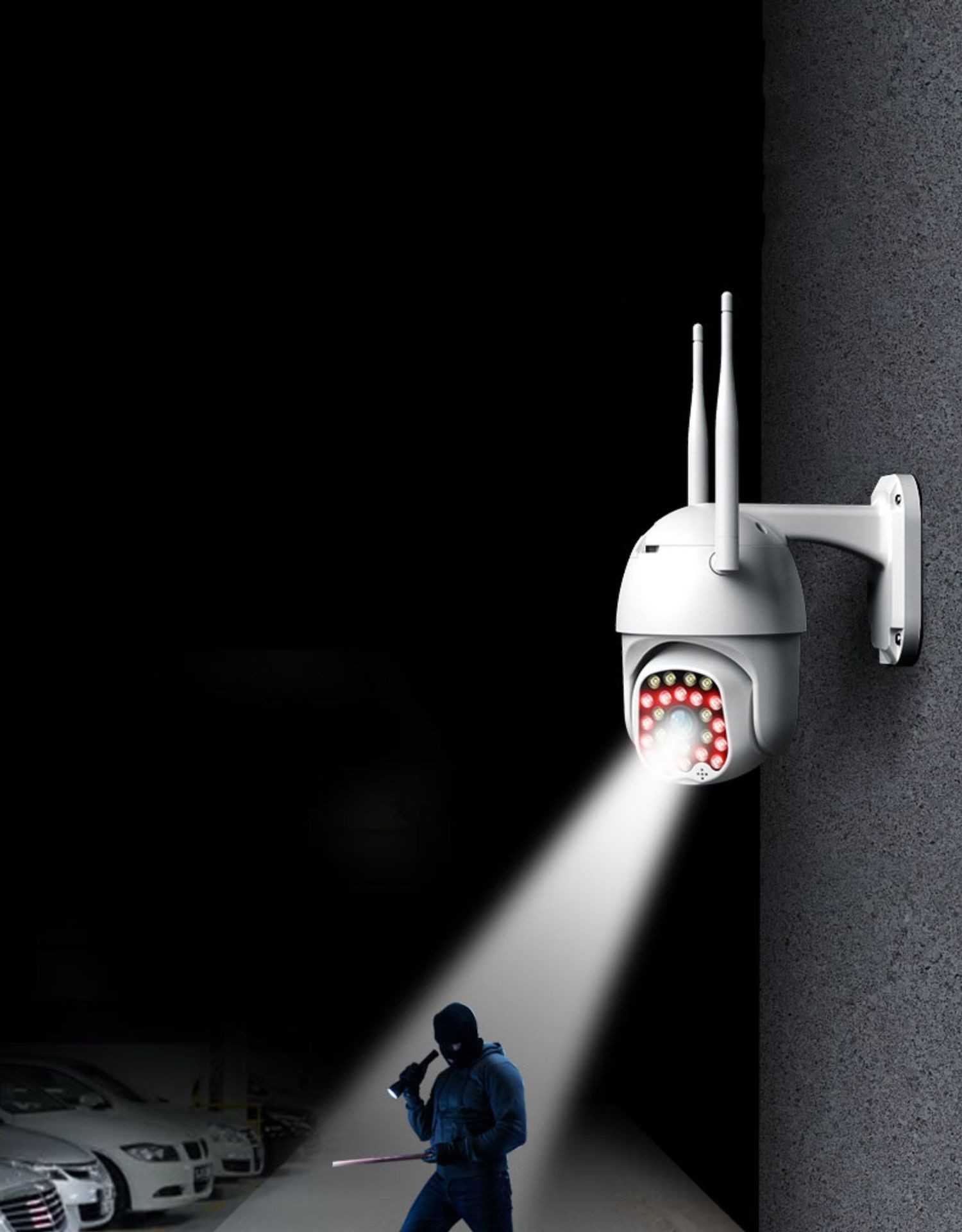 Camera Image 4