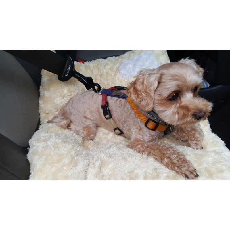 Pet Safety Seatbelt Image 4