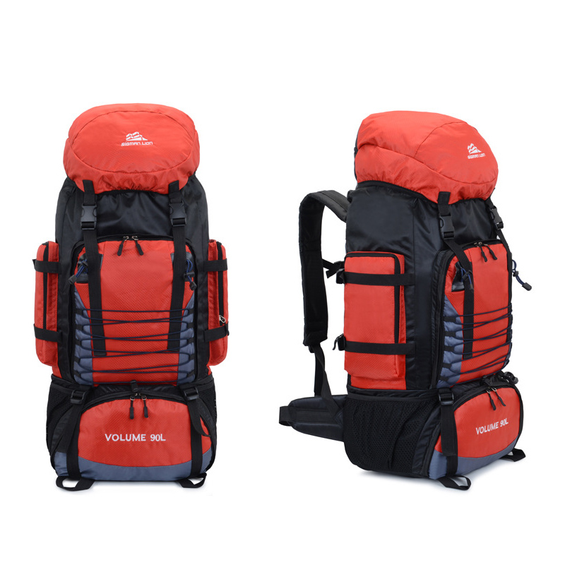 Back View of 90L Travel Backpack