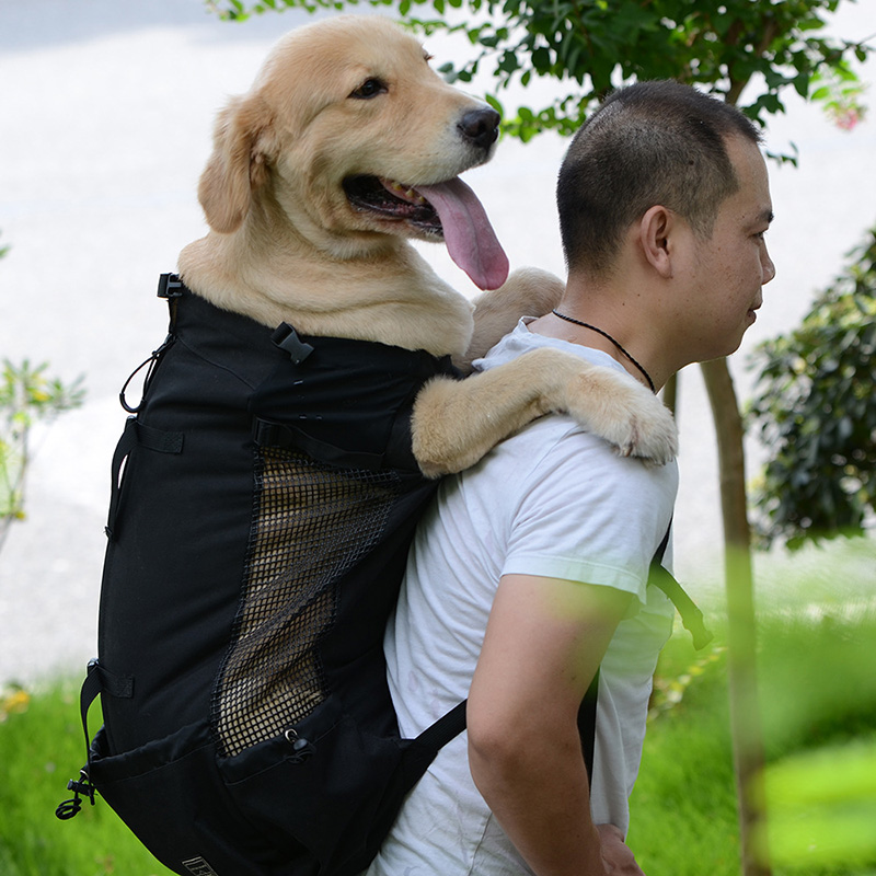 Pet Traveler Backpack Image 3