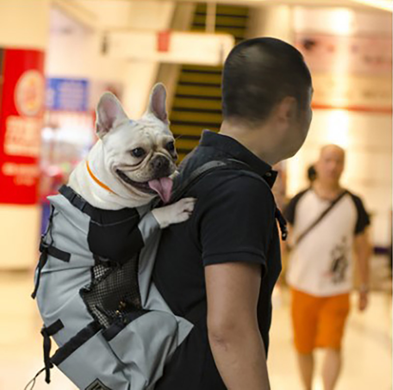 Pet Traveler Backpack Image 2