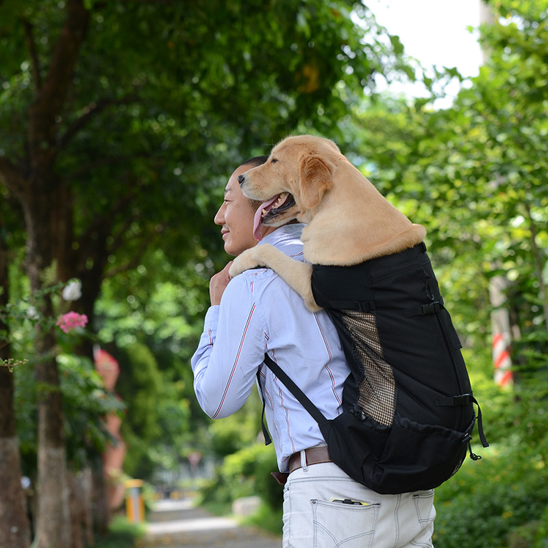 Pet Traveler Backpack Image 4