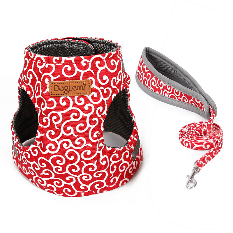 Close-up of Cat Harness