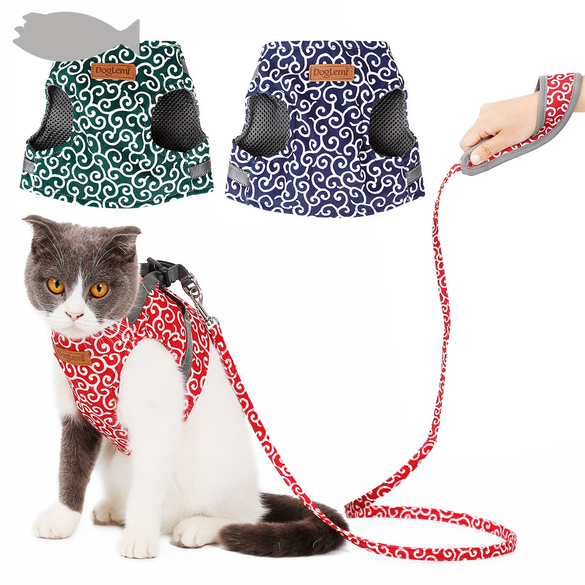 Cat Harness in Use