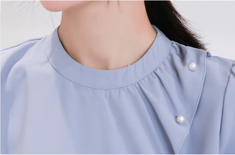 Chiffon Blouse Image 3