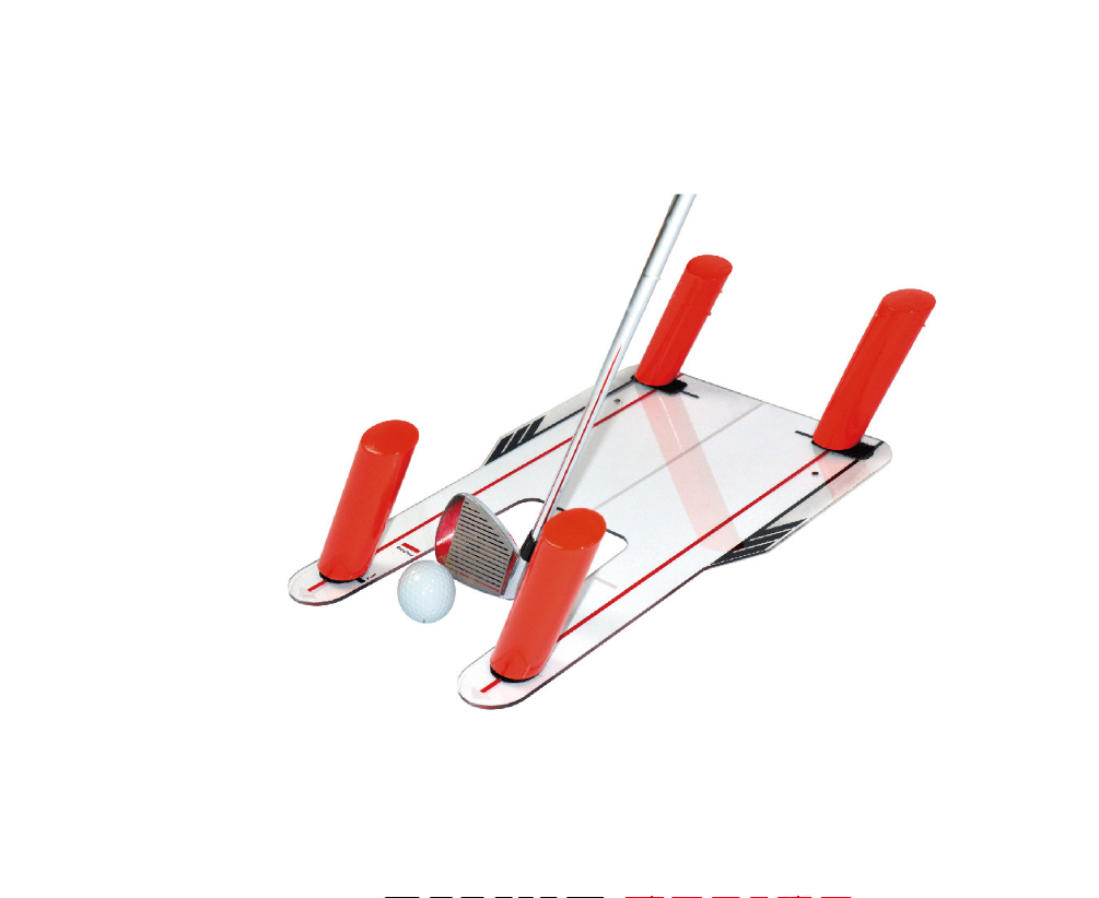 High-Performance Coach Mirror Image 2