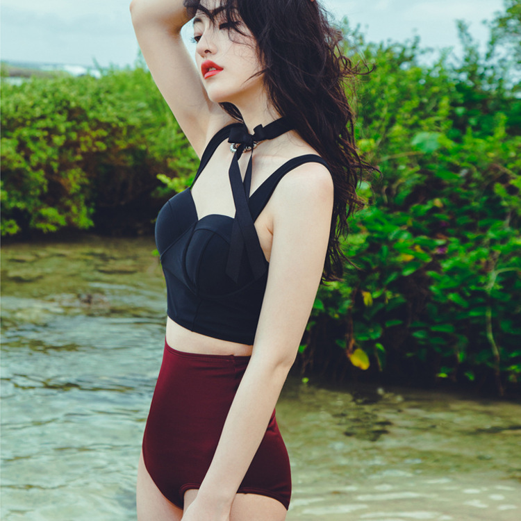 Vintage Bikini Image 1