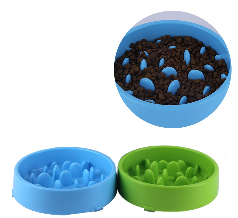 Dog feeding bowl in use