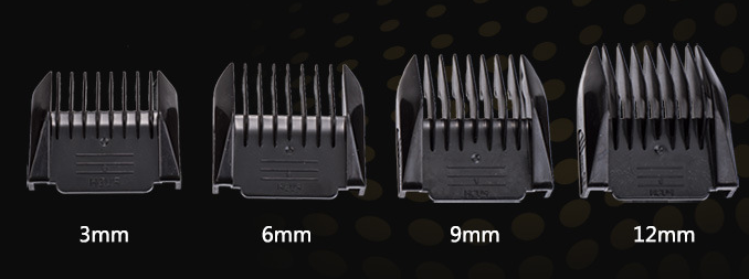 Dog Grooming Equipment