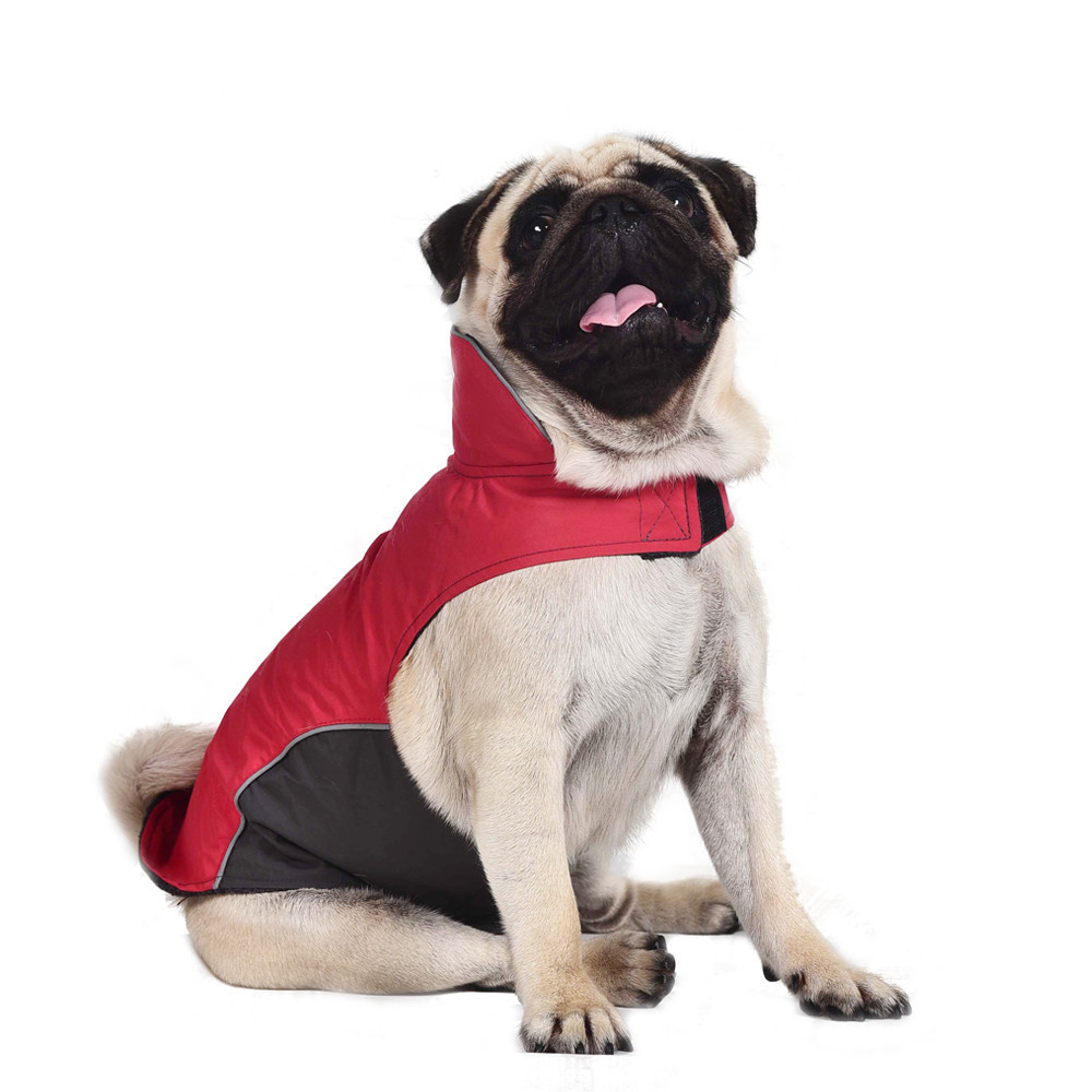 Pet Jacket Colors