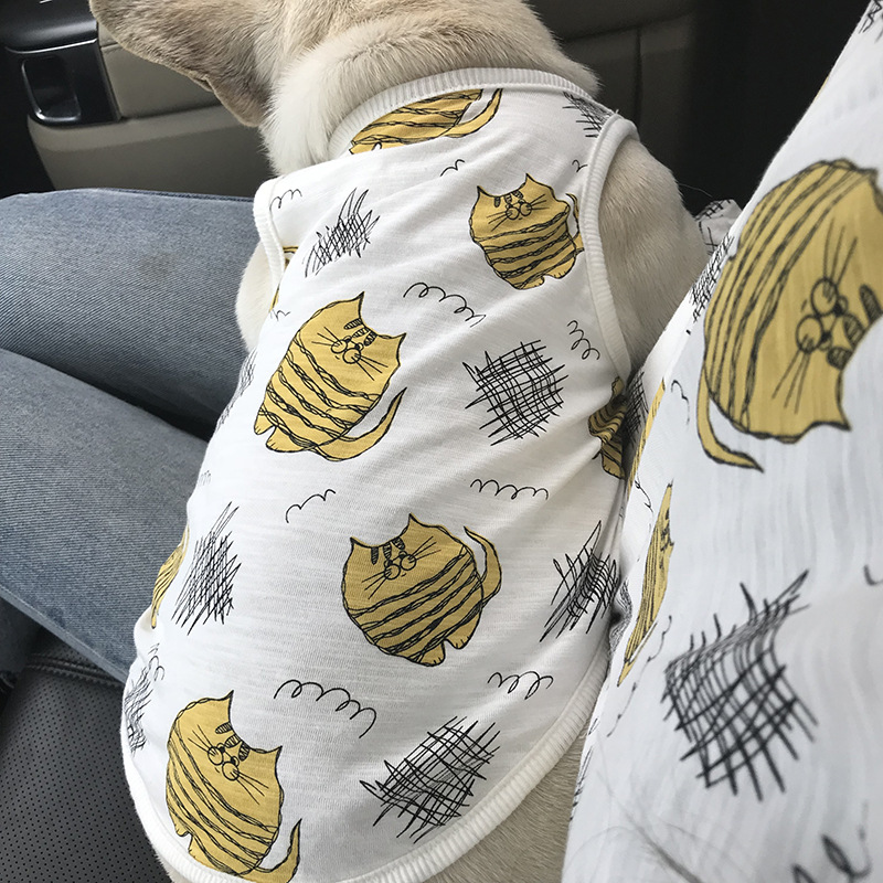 Family Cat Outfits