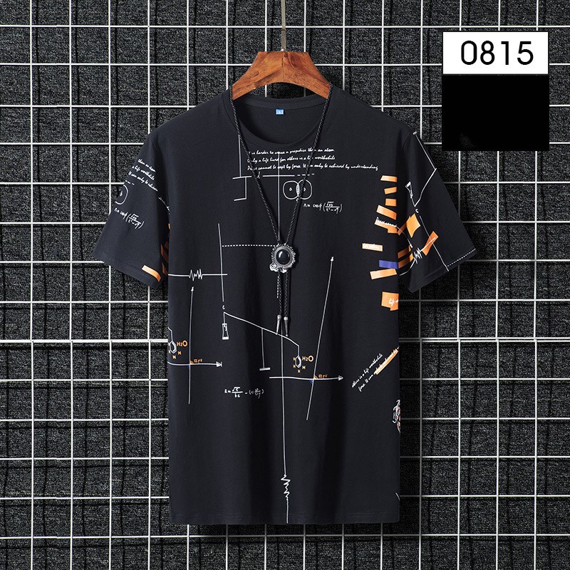 Japanese Style T-Shirt 4