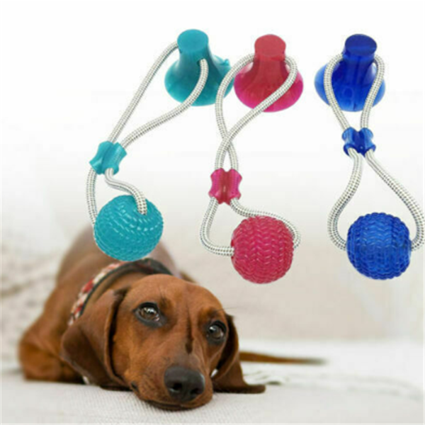 Imagen 5 de un juguete para perros