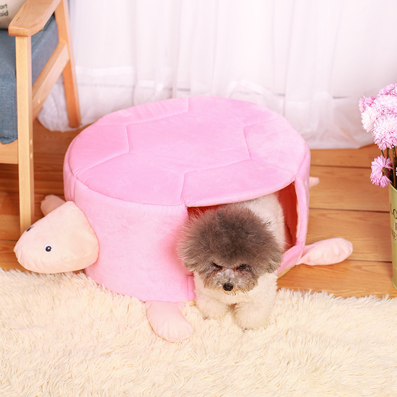 Pet Turtle House Design