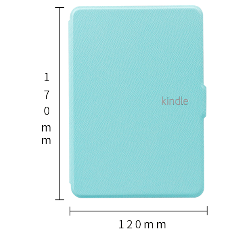 Kindle Case 4