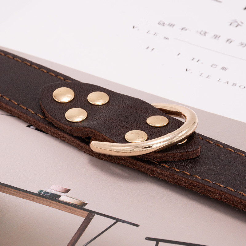 Leather Dog Collar - Image 4