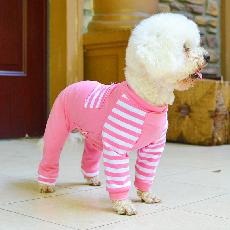 Playful Dog in Striped Shirt