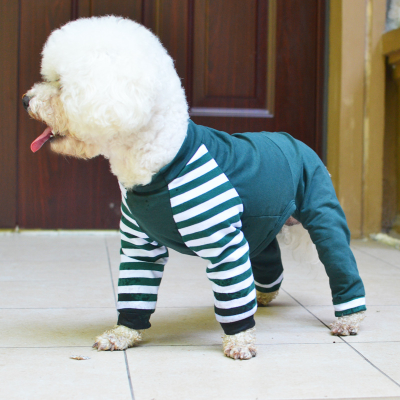 Cute Dog Wearing Striped Shirt