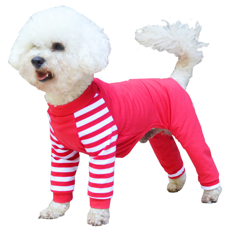 Dog Fashion in Striped Shirt