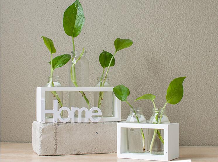 Stylish Hydroponic Vase