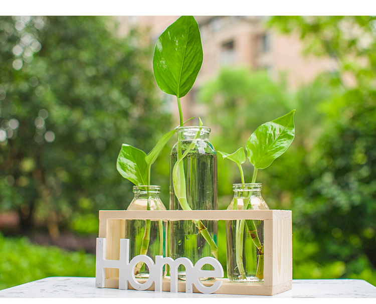 Hydroponic Vase White
