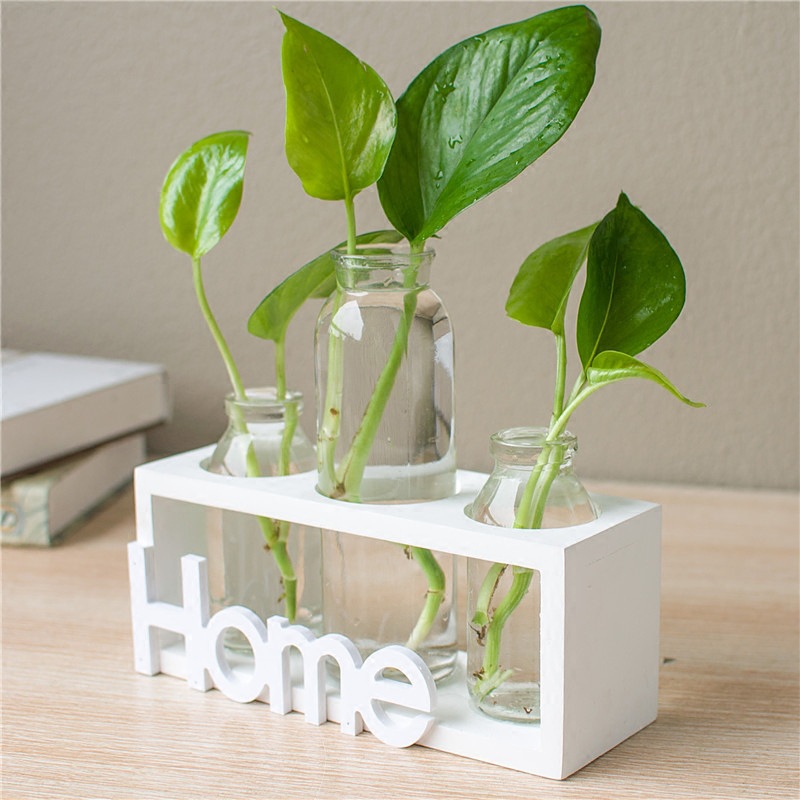Hydroponic Vase Wood