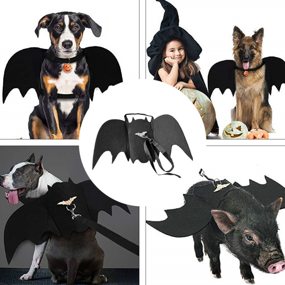 Felt Pet Leash Image 5