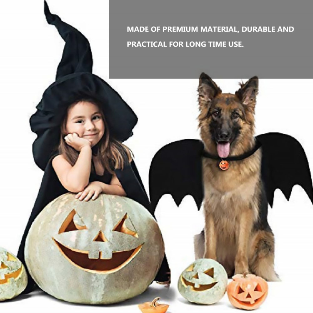 Felt Pet Leash Image 4