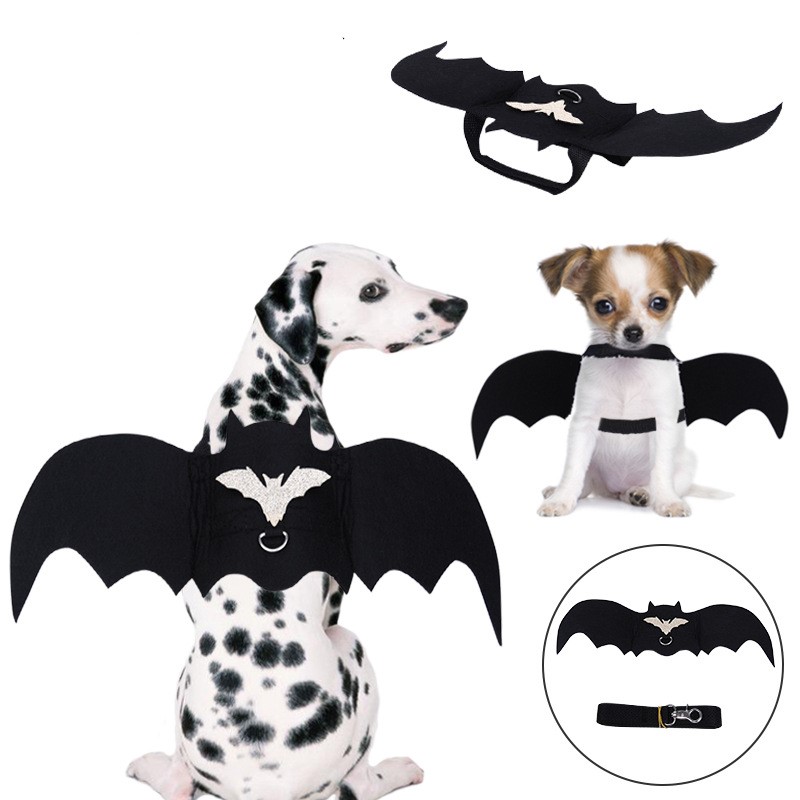Felt Pet Leash Image 3