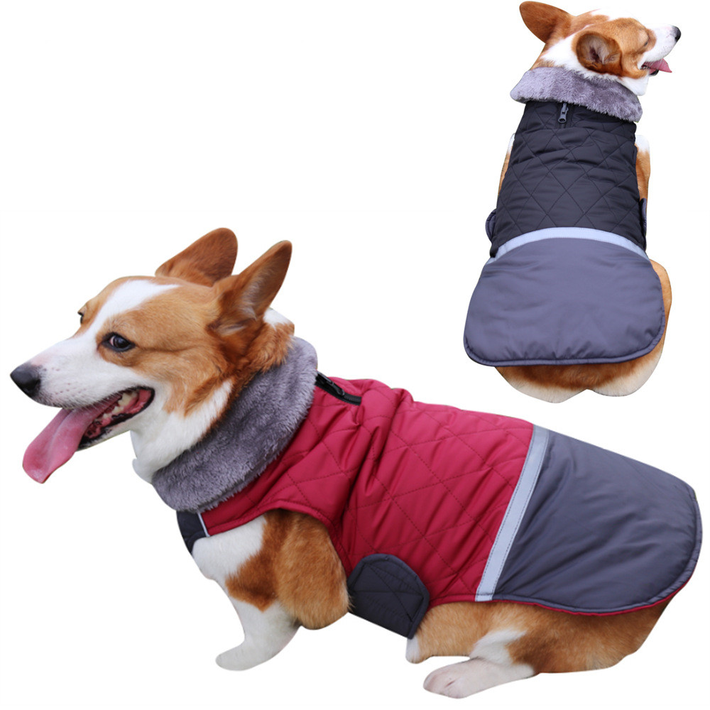 Pet Coat 7