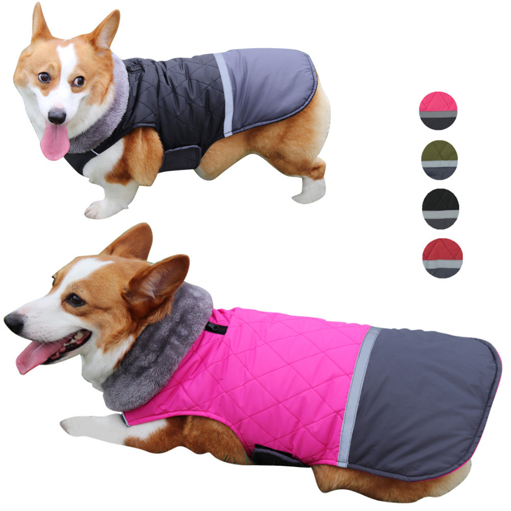 Pet Coat 2
