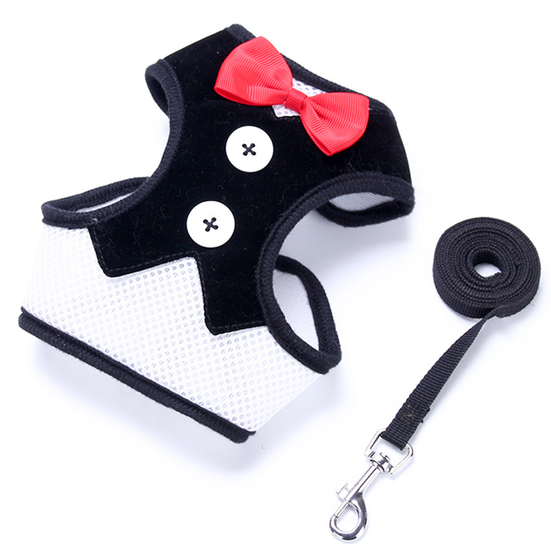Dog Harness Image 4