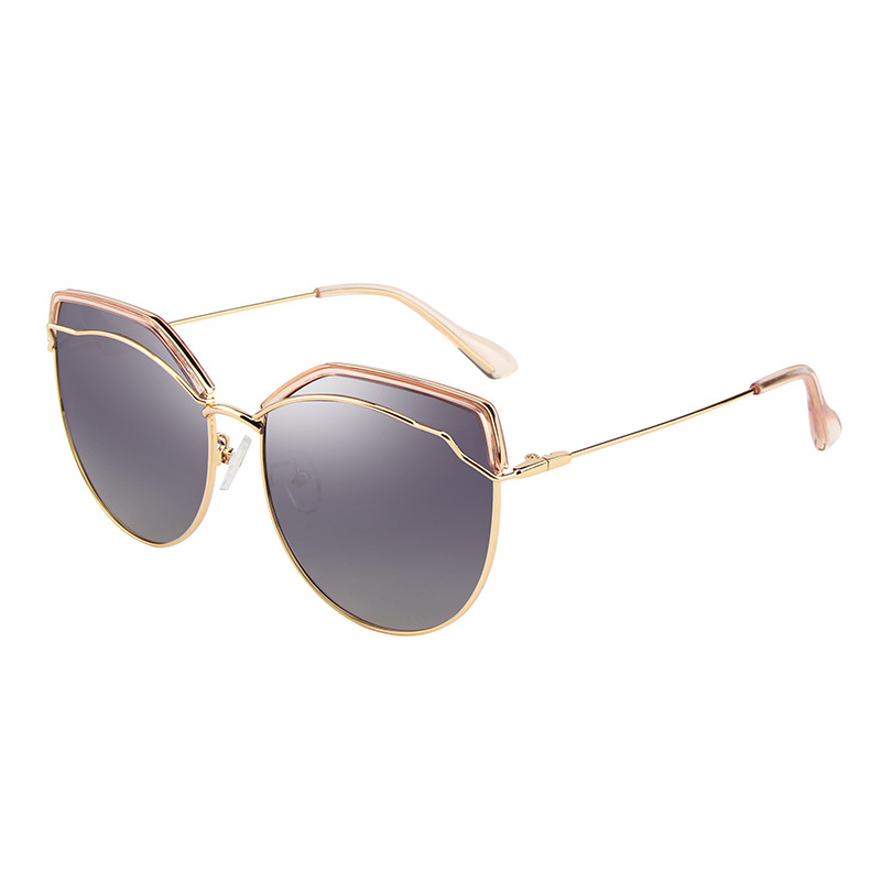 Polarized Sunglasses 1